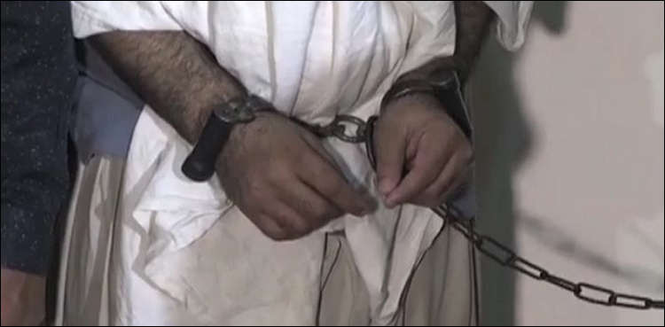 CTD arrests killer of MQM's MPA Liaquat Qureshi