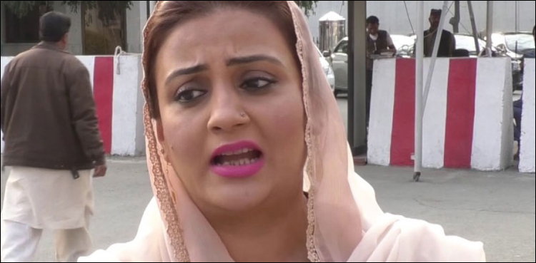 PML-N leaders opposing Nawaz Sharif's narrative declared 'lotas'