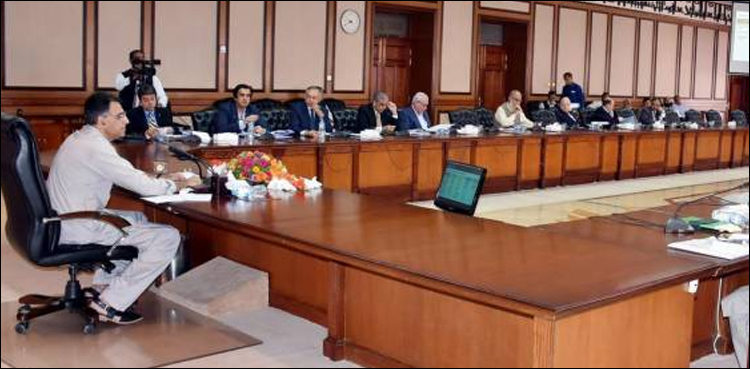 Asad Umar directs Maritime Division to accelerate work on LNG terminal