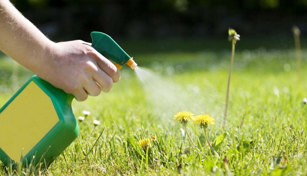 Paris, four other cities ban use of pesticides