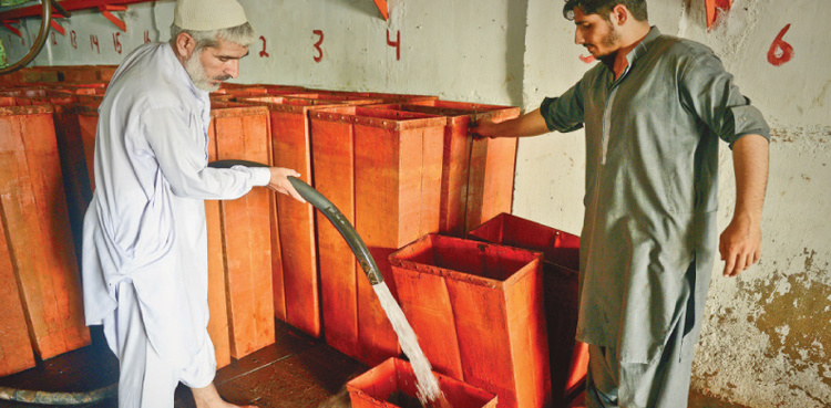 Food authority to check ice factories, beverage companies in Punjab