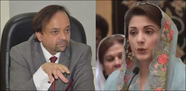 Dr Adnan, Maryam seek permission to meet Nawaz Sharif