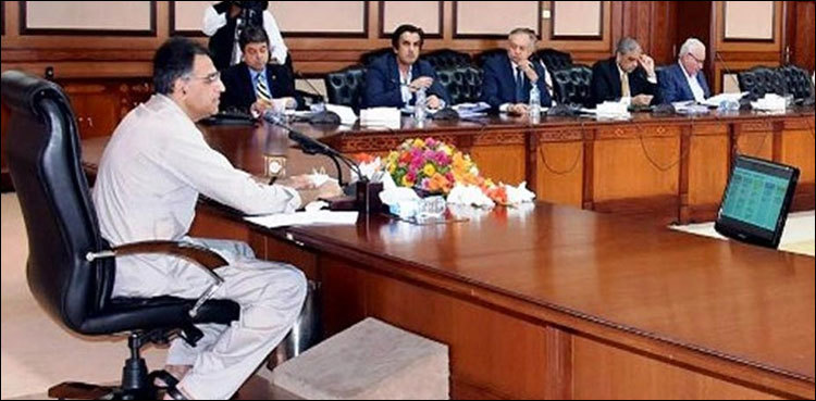 Asad Umar chairs ECC meeting, to decide future of Pakistan Steel