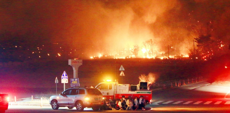 Winds fan giant forest fire in South Korea