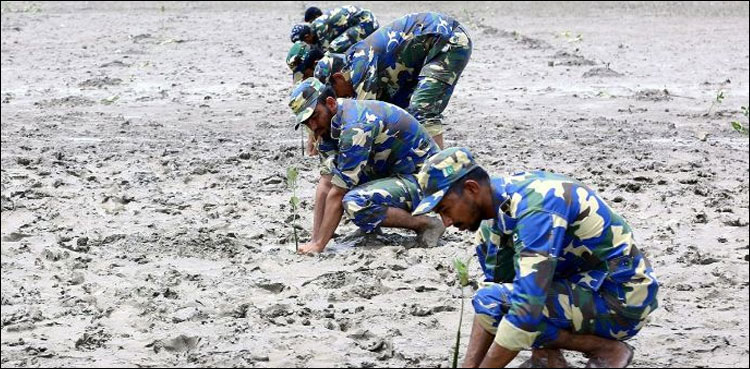 Pakistan Navy launches mangroves plantation campaign at coastal belt