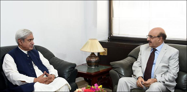 Pulwama incident highlighted Kashmir conflict on international level: AJK president