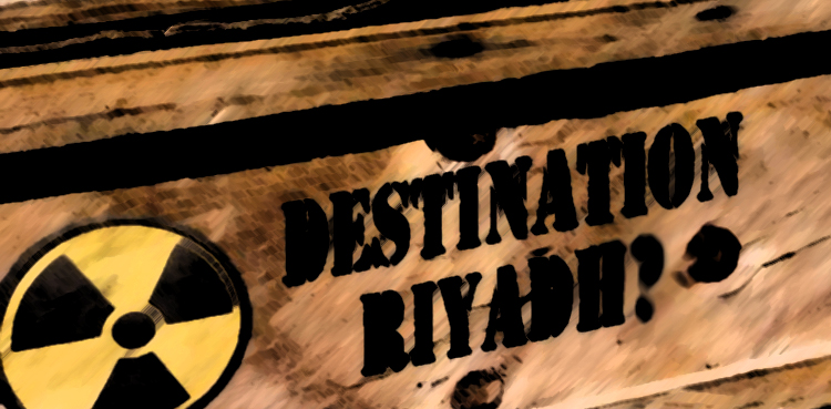 IAEA asks Saudi Arabia for safeguards on first nuclear reactor