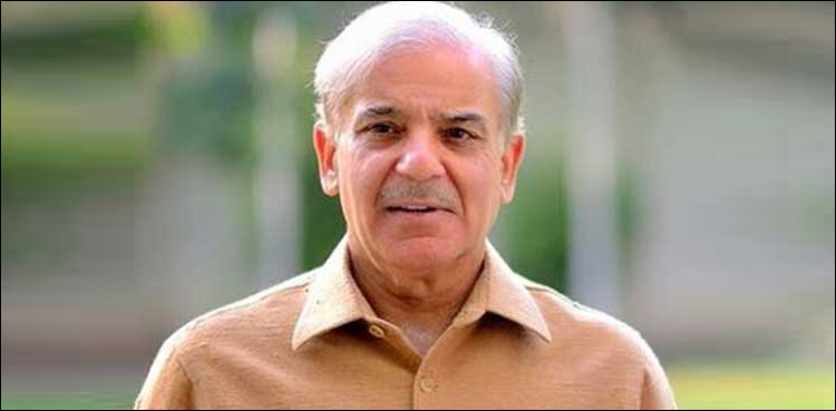 PML-N President Shehbaz Sharif recovers from coronavirus