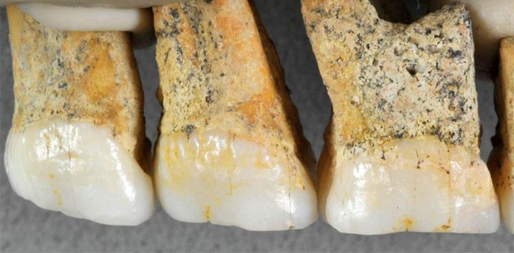 Fossils of previously unknown human species discovered in Philippines