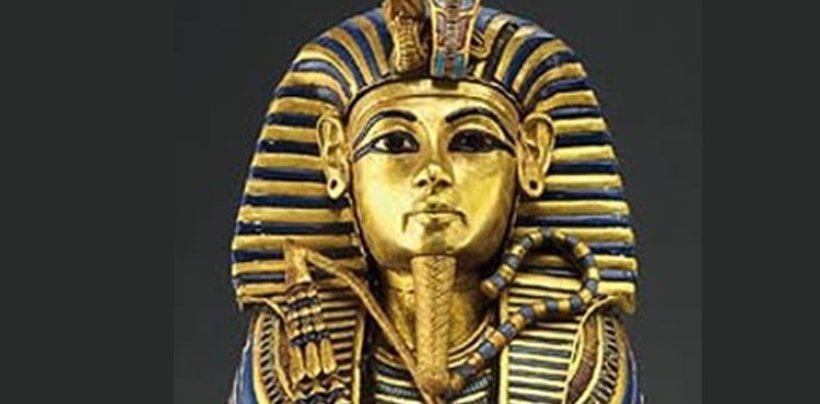 A mummy murder has been solved!