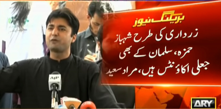 Shehbaz Sharif, sons involved in money laundering: Murad Saeed