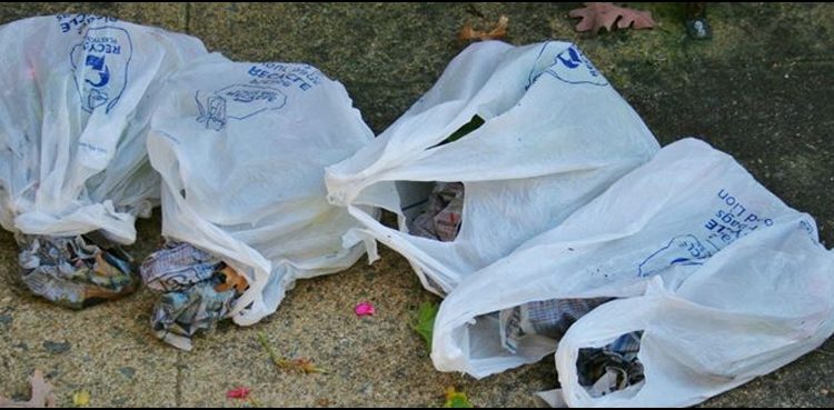 LHC imposes ban on use of polythene bags across Punjab