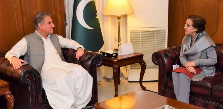 FM Qureshi bids farewell to Tehmina Janjua