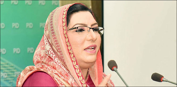 Minister says video presented by Maryam Nawaz will go through forensic audit