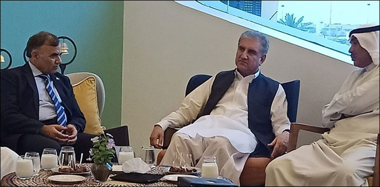 Pakistan attaches great importance to its relations with Kuwait: FM Qureshi