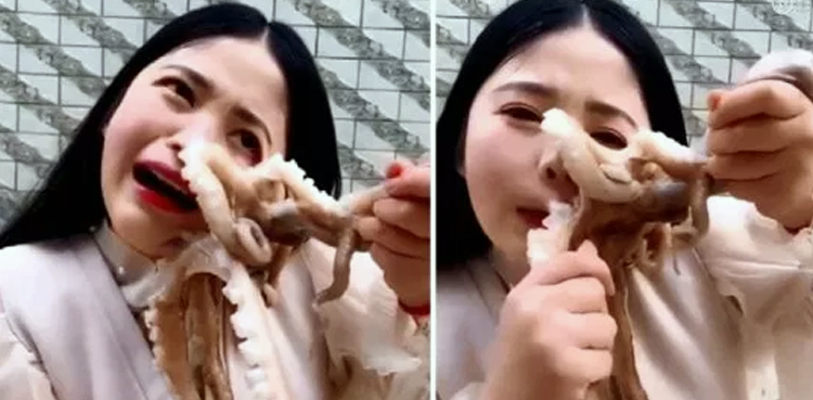 Octopus tries to eat woman as she tries to eat it alive