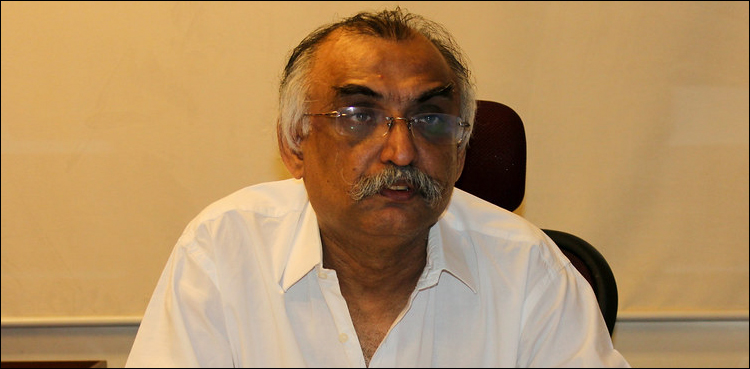 Custom rulings made available on FBR website: Shabbar Zaidi