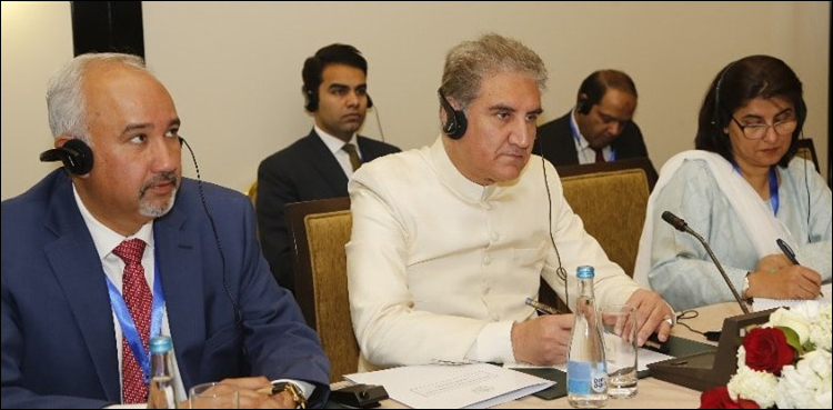 At SCO summit, Qureshi urges joint efforts to meet challenges