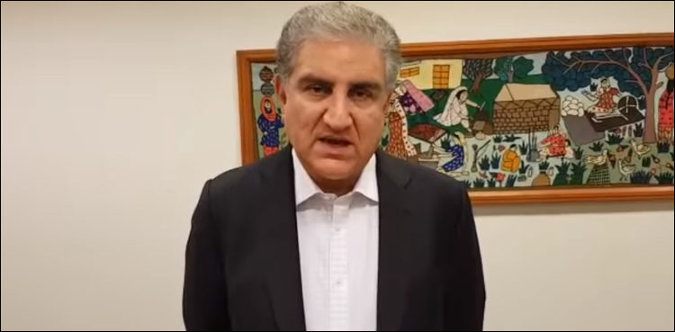 Pakistan to complete CPEC just like its nuclear programme: Qureshi