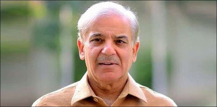 ‘Govt, opposition united like a rock on Kashmir issue’: Shehbaz Sharif