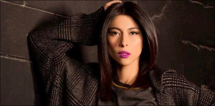 Warrants out for arrest of Meesha Shafi