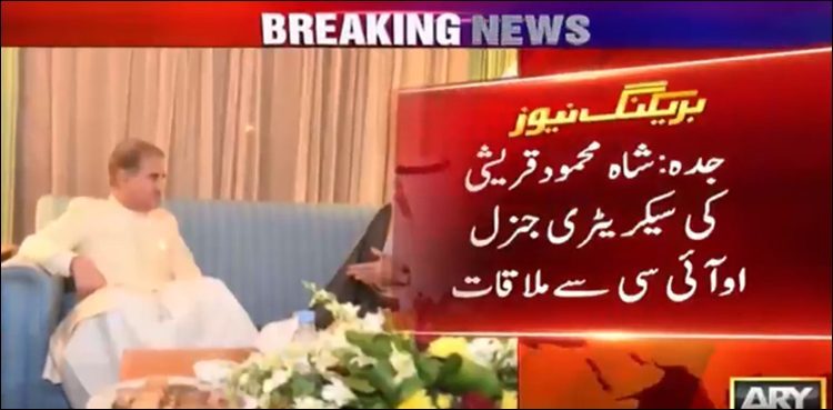 Shah Mehmood Qureshi calls on OIC secretary general