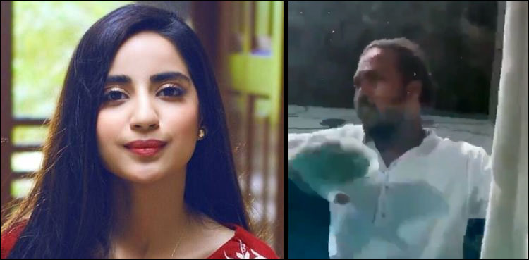 'Window cleaner' in Saboor Aly's video comes to her defence