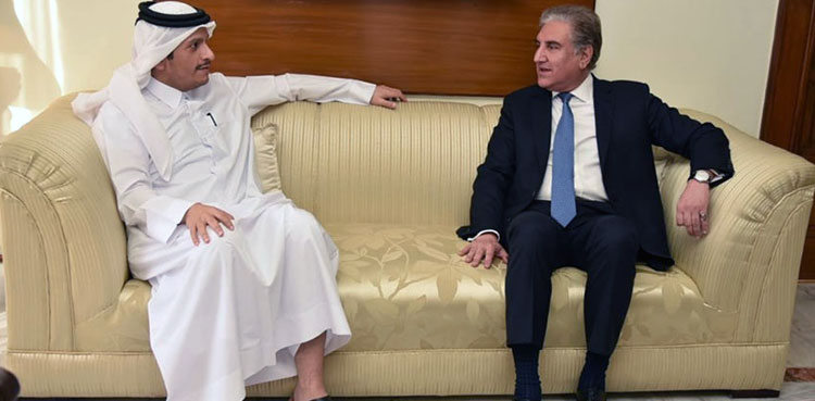 FM Qureshi meets Qatari counterpart Sheikh Mohamed bin Abdul Rahman al-Thani