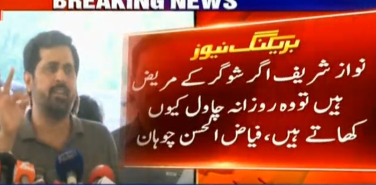 Fayyaz mocks Nawaz over eating royal diets in jail