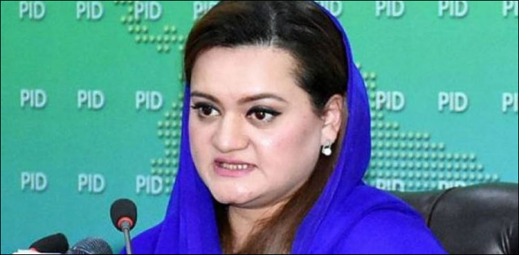 ECP decision has no impact over Punjab government: Maryam Aurangzeb