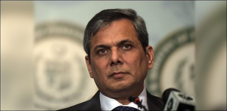 Pakistan offers vast opportunities for foreign investors: Nafeez Zakaria