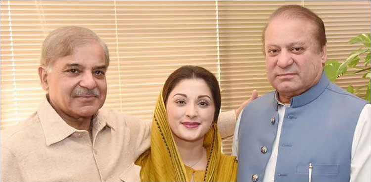 Meeting with Bilawal finalised after Nawaz and Shehbaz's approval: Maryam