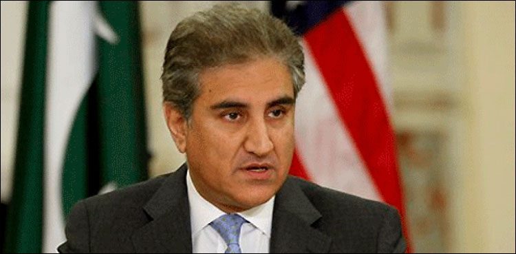 Afghanistan players learned cricket from Pakistan, says Qureshi