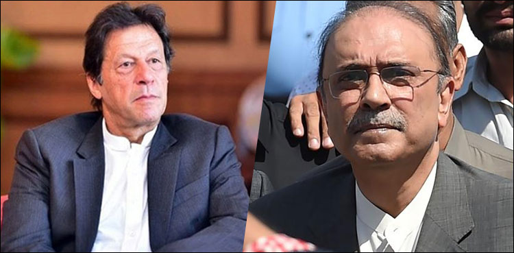 'Step down and go home': Zardari gives advice to PM Imran