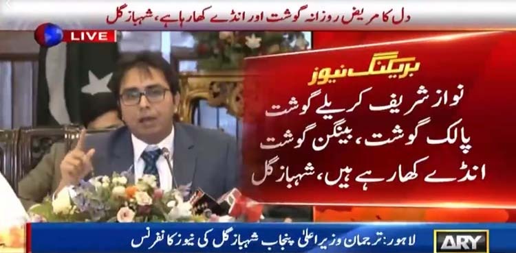 Shahbaz Gill denies reports of banning homemade food for Nawaz in jail