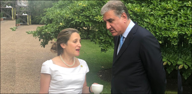 FM Qureshi discusses bilateral ties with Canadian counterpart