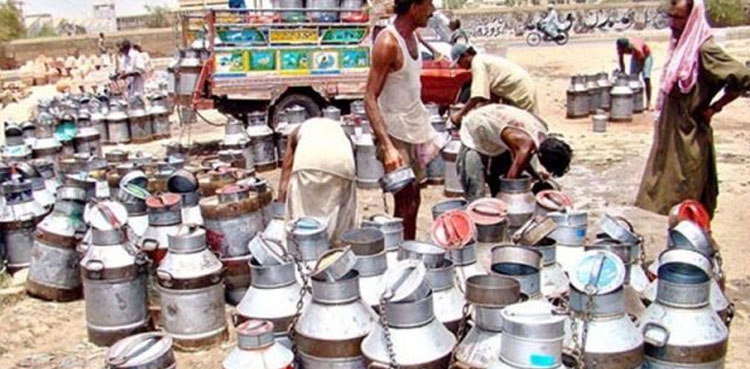 Karachi: Dairy farmers refuse to set milk price at Rs170 /litre