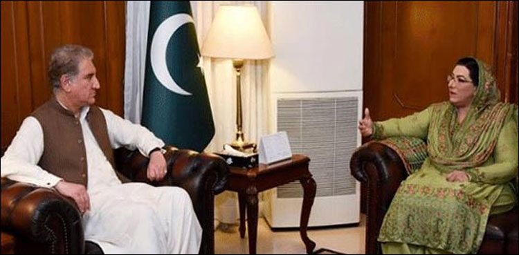 Qureshi highlights media’s role in portraying positive image of Pakistan