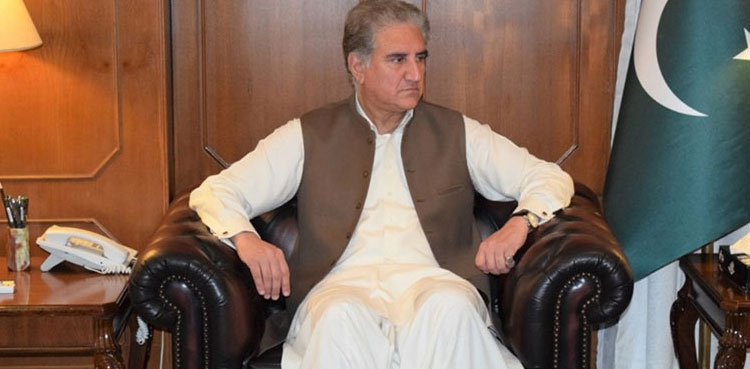 FM Qureshi, Kazakhstan ambassador discuss bilateral trade matters