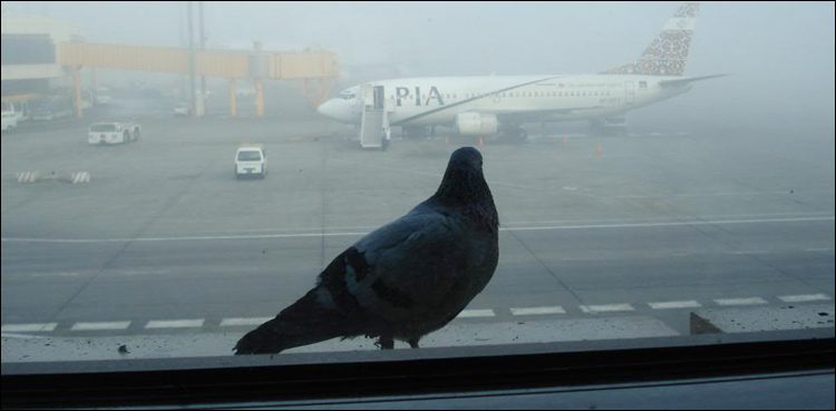 Lahore ranks 4th in world's most polluted big cities