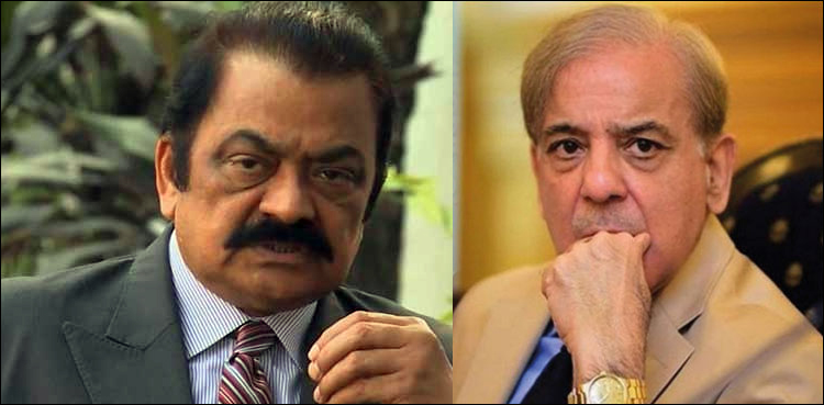 Shehbaz denounces Rana's arrest as political vengeance