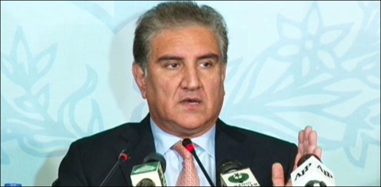 India’s move on Kashmir violated int’l laws, UN resolutions: FM Qureshi