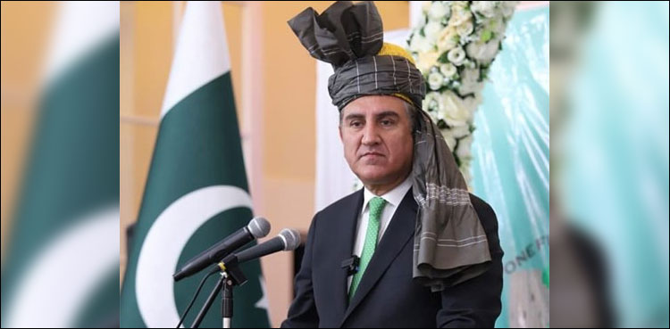 Pushtun's cooperation helped Pak Army in eliminating terrorism: Qureshi
