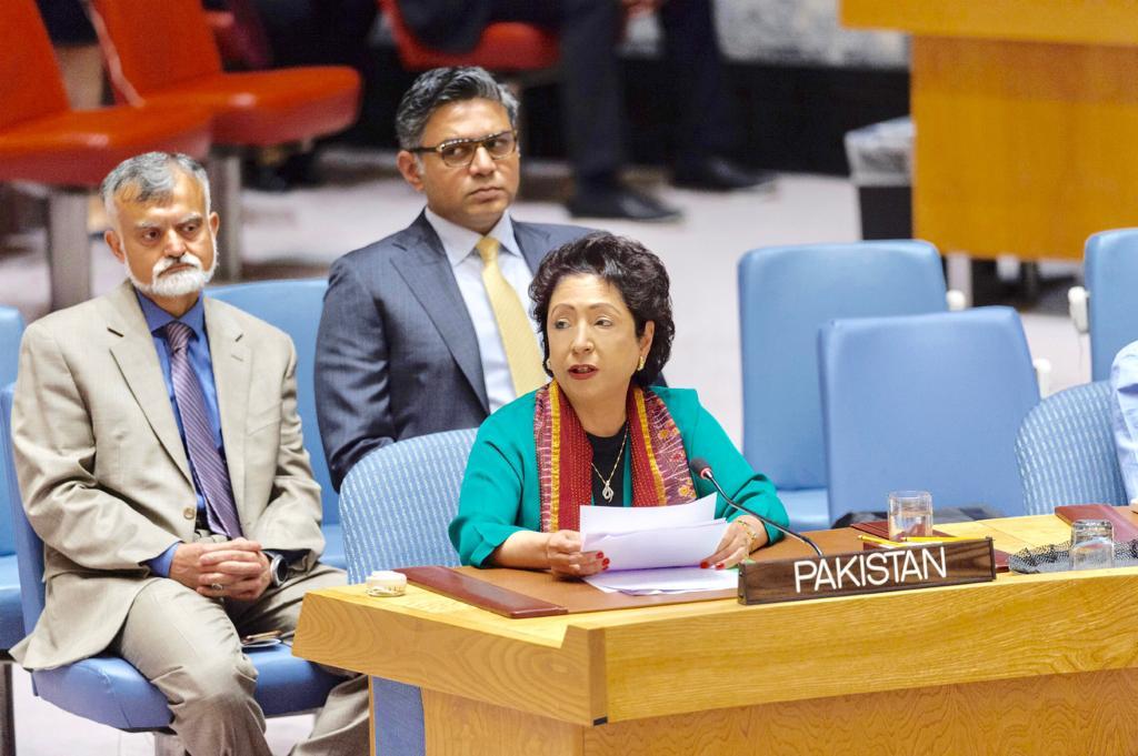 Maleeha Lodhi calls for global efforts to delink terrorism, organized crime