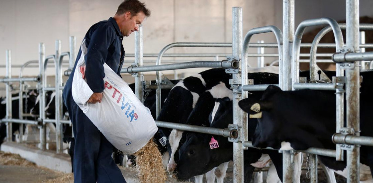 Bird flu human case is reported in US State of Colorado