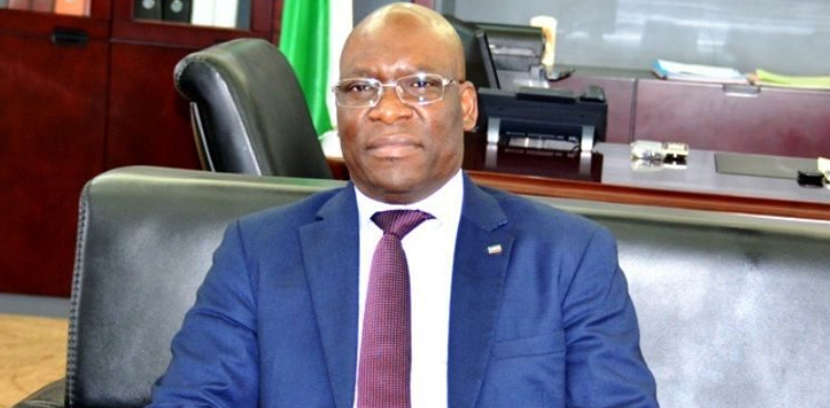 E Guinea denies building wall along Cameroon border