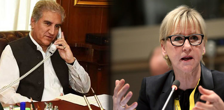 FM Qureshi discusses IoK situation with Sweden counterpart