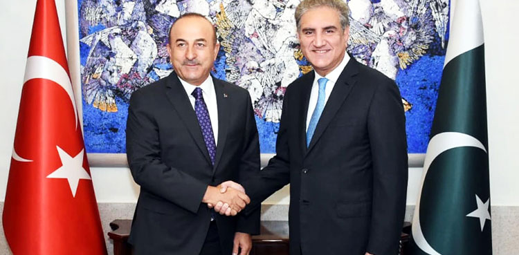 FM Qureshi, Turkish counterpart discuss Kashmir situation