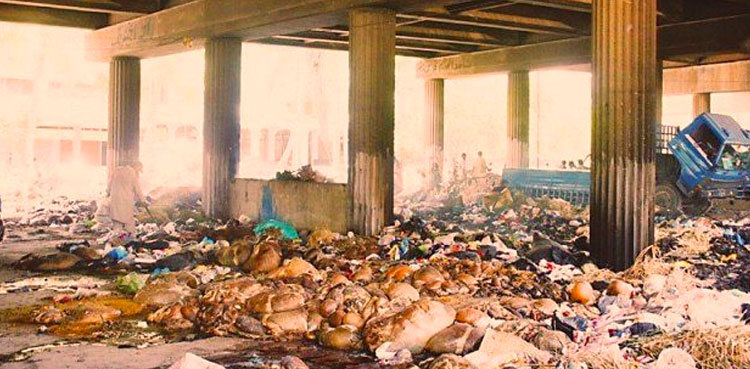 CM Murad orders immediate fumigation in Karachi, Hyderabad