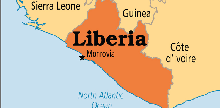 Liberian opposition MP attacked on campaign trail